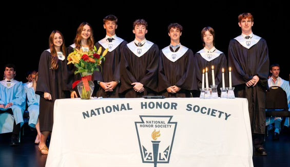 what activity type is nhs on common app