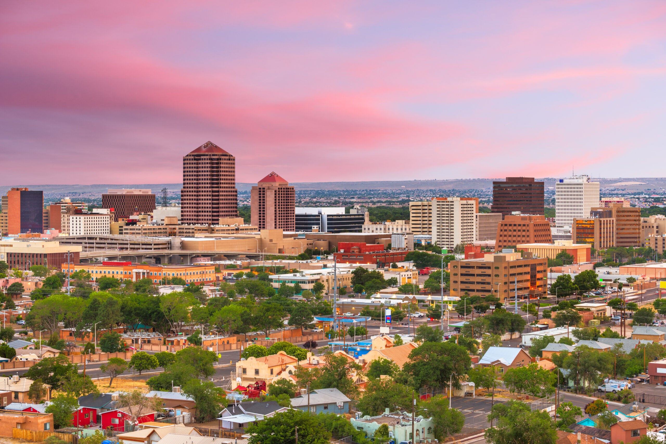 Non Profit Jobs Albuquerque: Opportunities and Career Growth