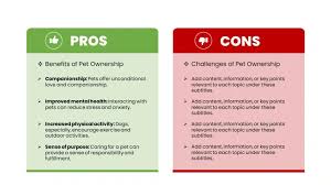What are the pros and cons of using college rankings in decision-making?