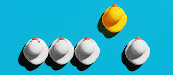 How to highlight unique experiences in your college application?