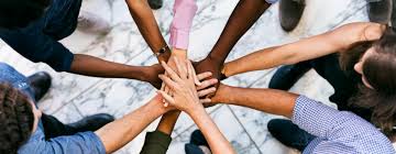 How to find colleges with strong diversity and inclusion programs?