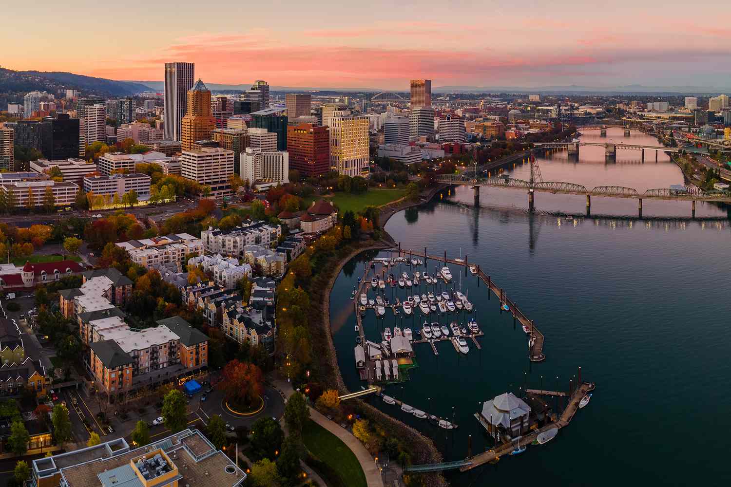 Non-Profit Organization Jobs in Portland Oregon: Top Opportunities and Employers