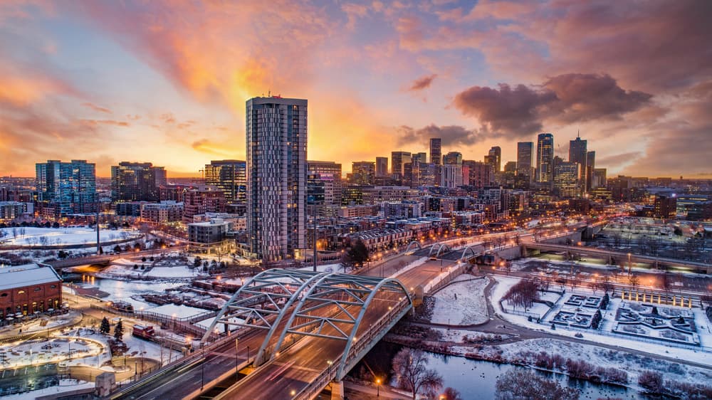 Non Profit Organization Jobs in Denver CO: Top Opportunities and Career Insights