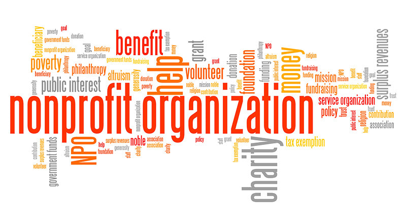 Non Profit Executive Director Jobs: Key Responsibilities and Qualifications