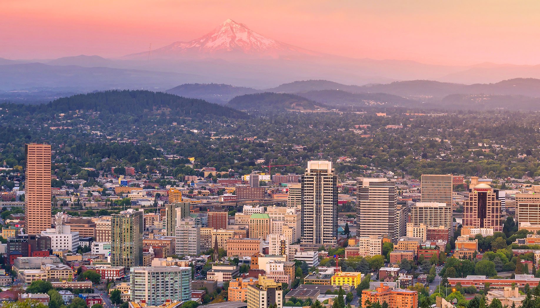 Non Profit Jobs Portland: Top Opportunities and How to Apply
