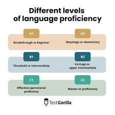 What are the English language requirements for international applicants?