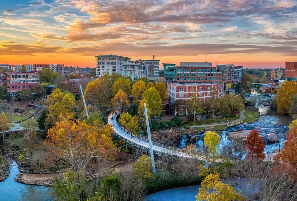 Non Profit Jobs Greenville SC: Opportunities and Career Paths