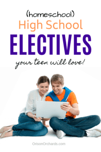homeschool high school electives
