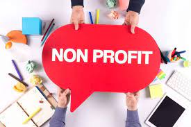 Idea Non Profit: Strategies for Effective Community Impact